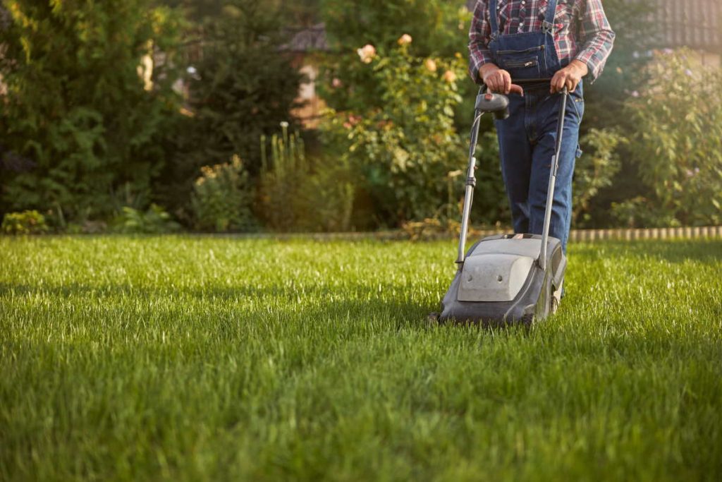 Cropped photo of a working man moving a lawn with a grass mower