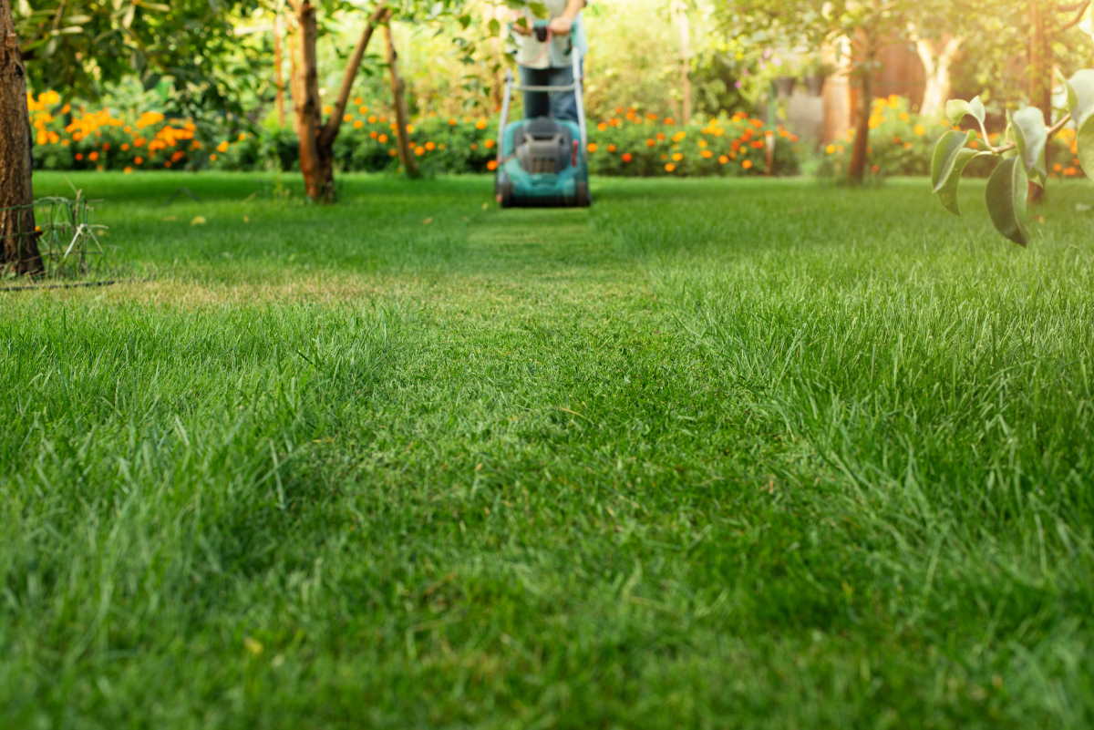 You are currently viewing Guide to Lawn Care: Tips to Keep Your Yard Looking Green and Fresh All Year Round